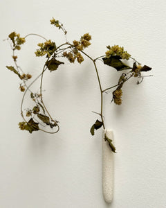 Wall vase